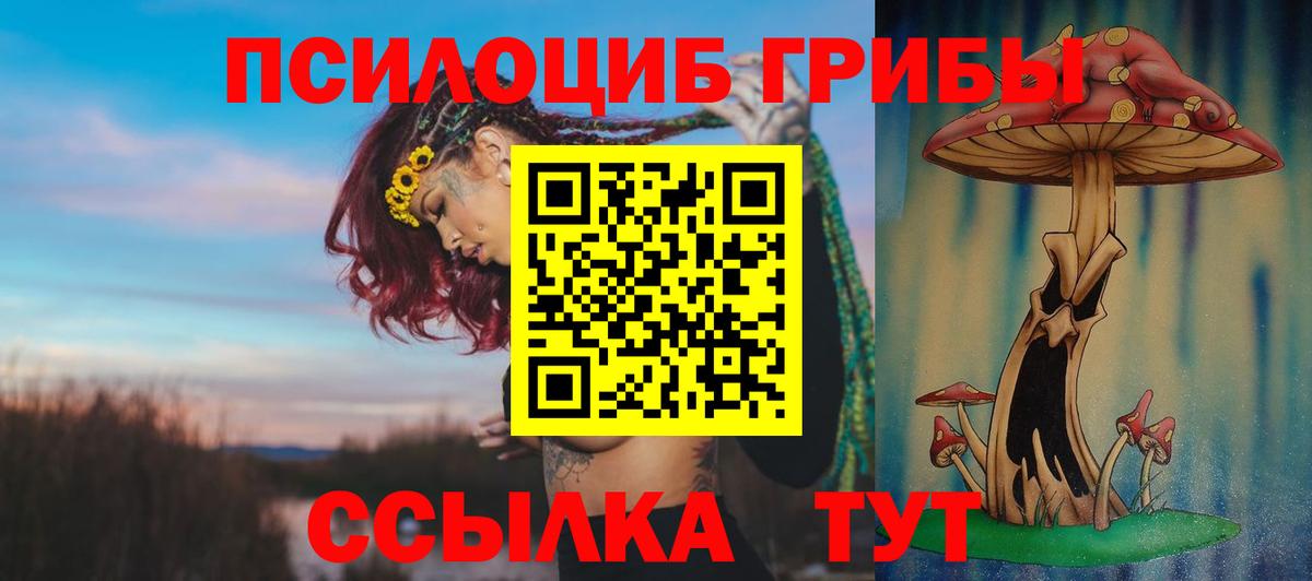 Галлюциногенные грибы Psilocybine cubensis Жигулёвск