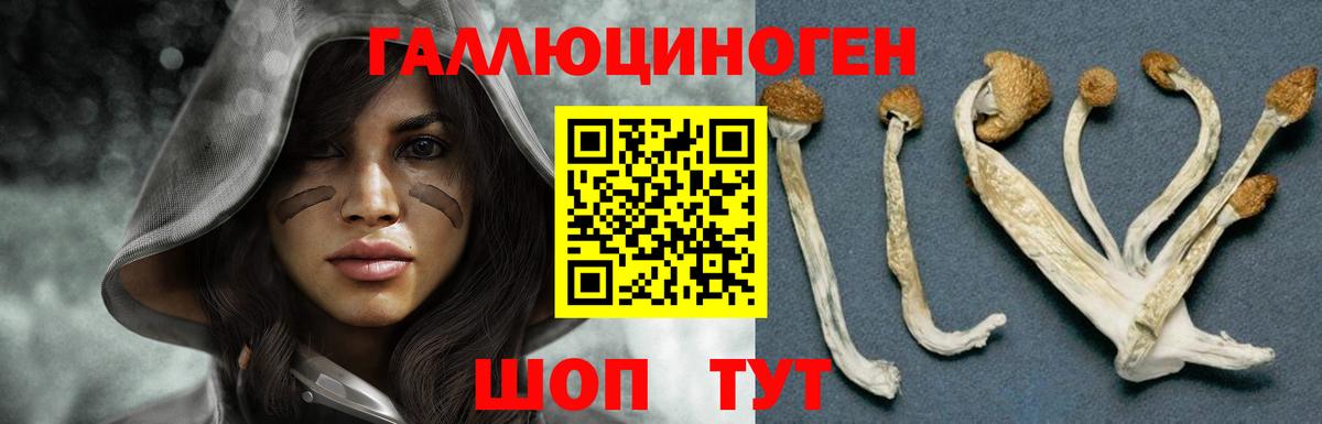 Псилоцибиновые грибы Psilocybine cubensis  Вход с VPN  Галлюциногенные грибы Magic Shrooms  Жигулёвск 